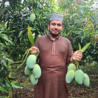 আম্রপালি ২০ কেজি