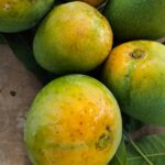 Himsagor mango GI product bangladesh