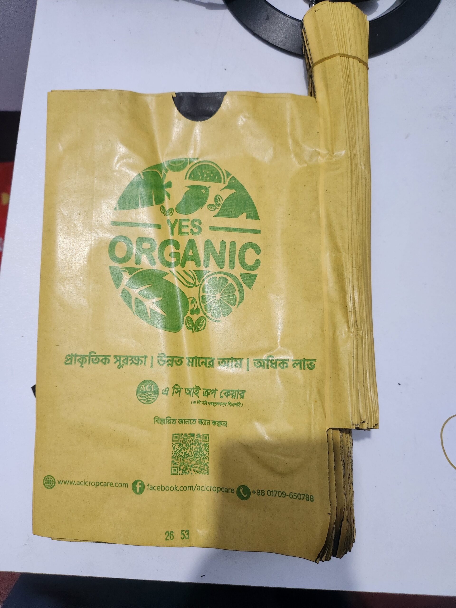 ১০০ পিস ফলের ব্যাগ